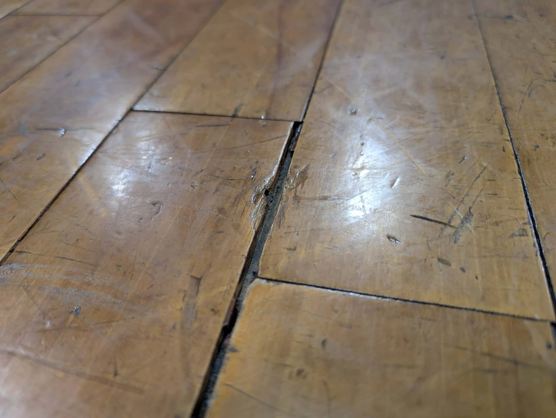 横浜市 西地区センターの床